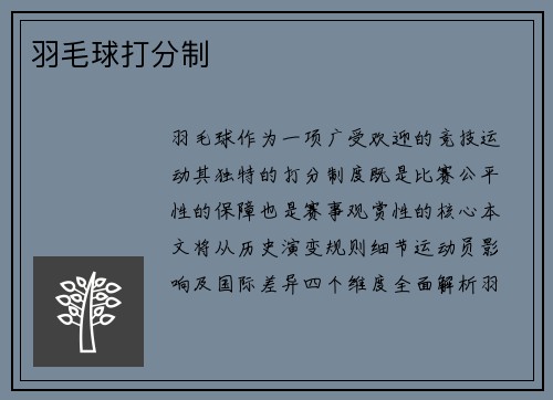 羽毛球打分制